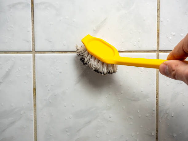 Office Mold Removal Services in Riverside, PA