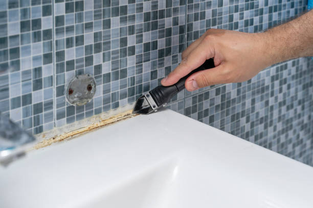 Best Mold Testing  in Riverside, PA