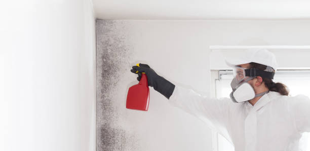 Best Mold Testing  in Riverside, PA