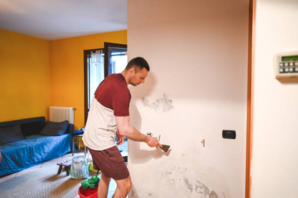 Certified Mold Removal in Riverside, PA