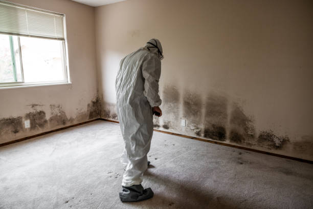 Best Attic Mold Removal  in Riverside, PA