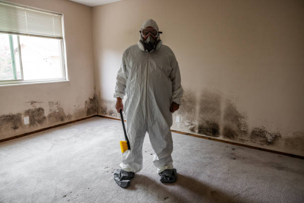 Best Local Mold Removal Service  in Riverside, PA